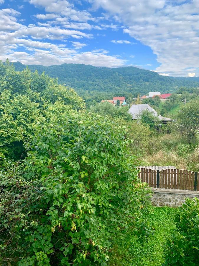 Vila Zia Otel Corbeni Dış mekan fotoğraf