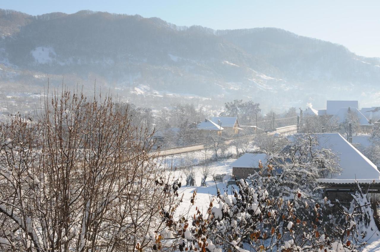 Vila Zia Otel Corbeni Dış mekan fotoğraf