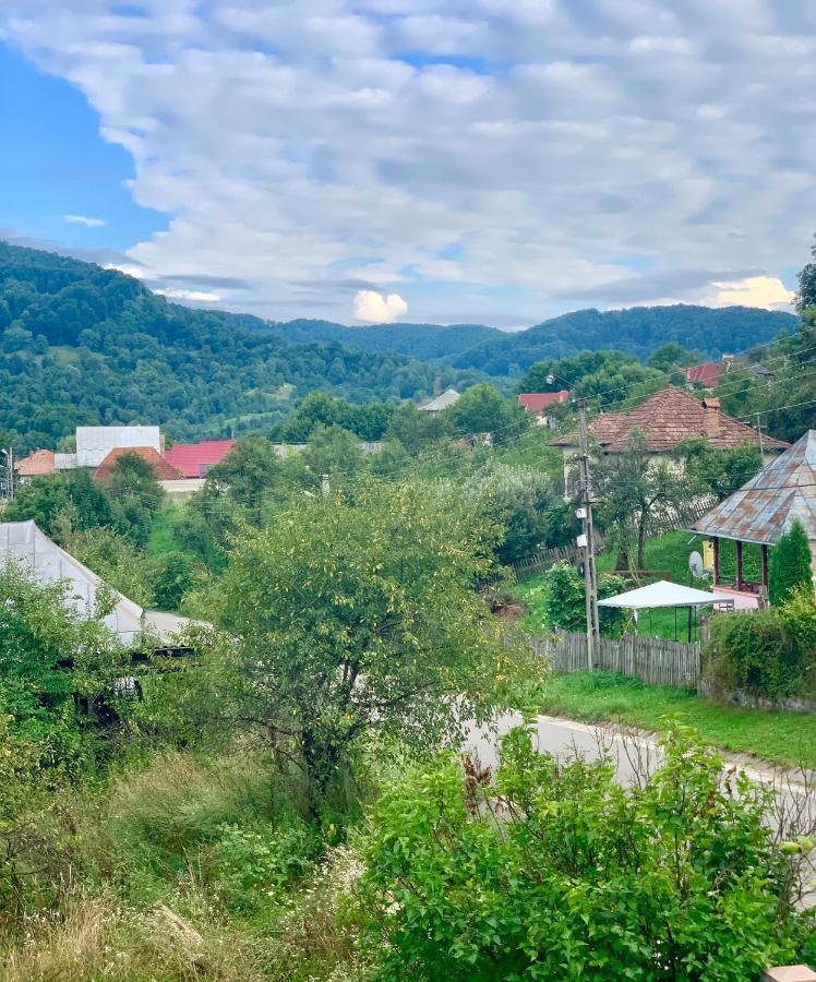 Vila Zia Otel Corbeni Dış mekan fotoğraf