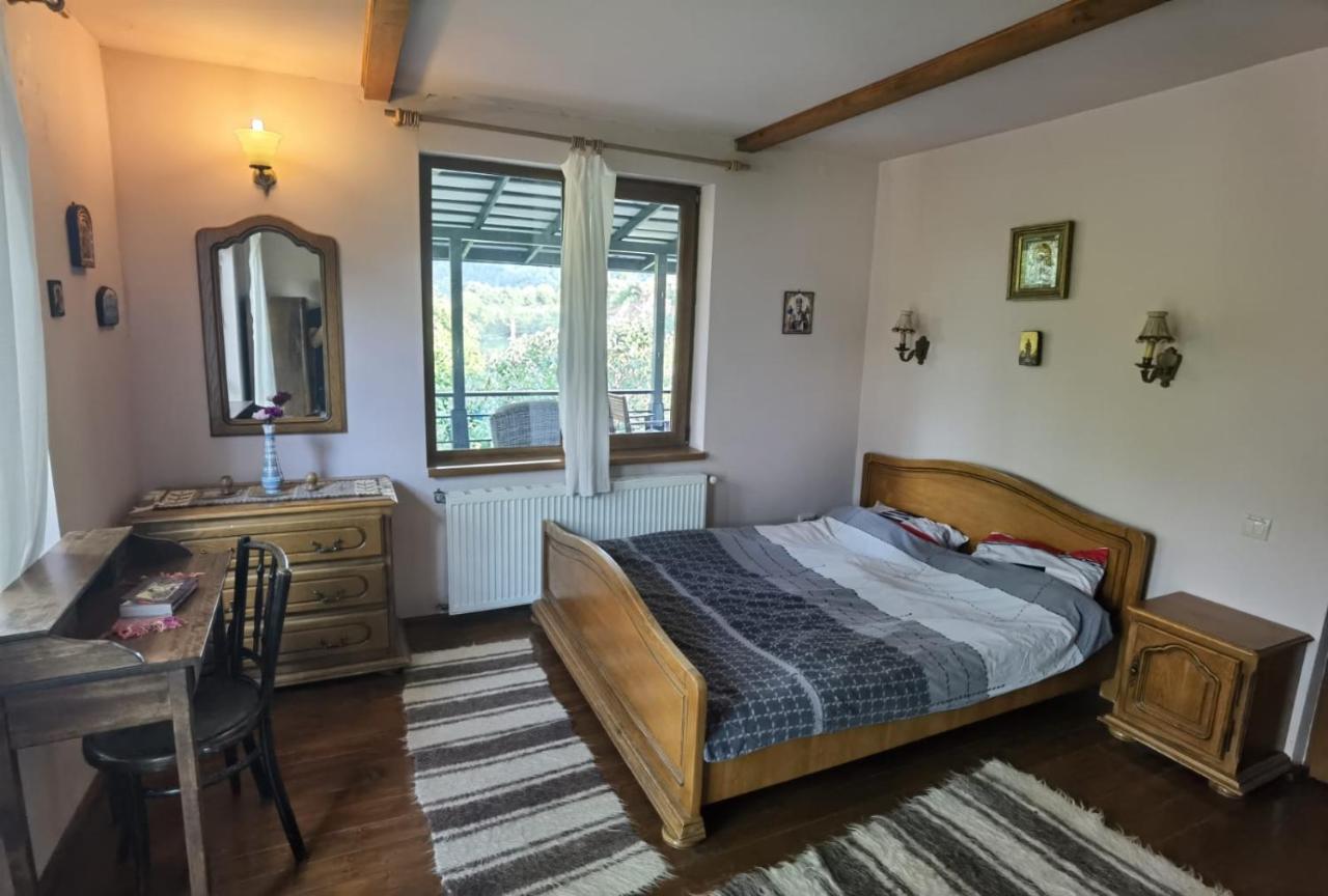 Vila Zia Otel Corbeni Dış mekan fotoğraf