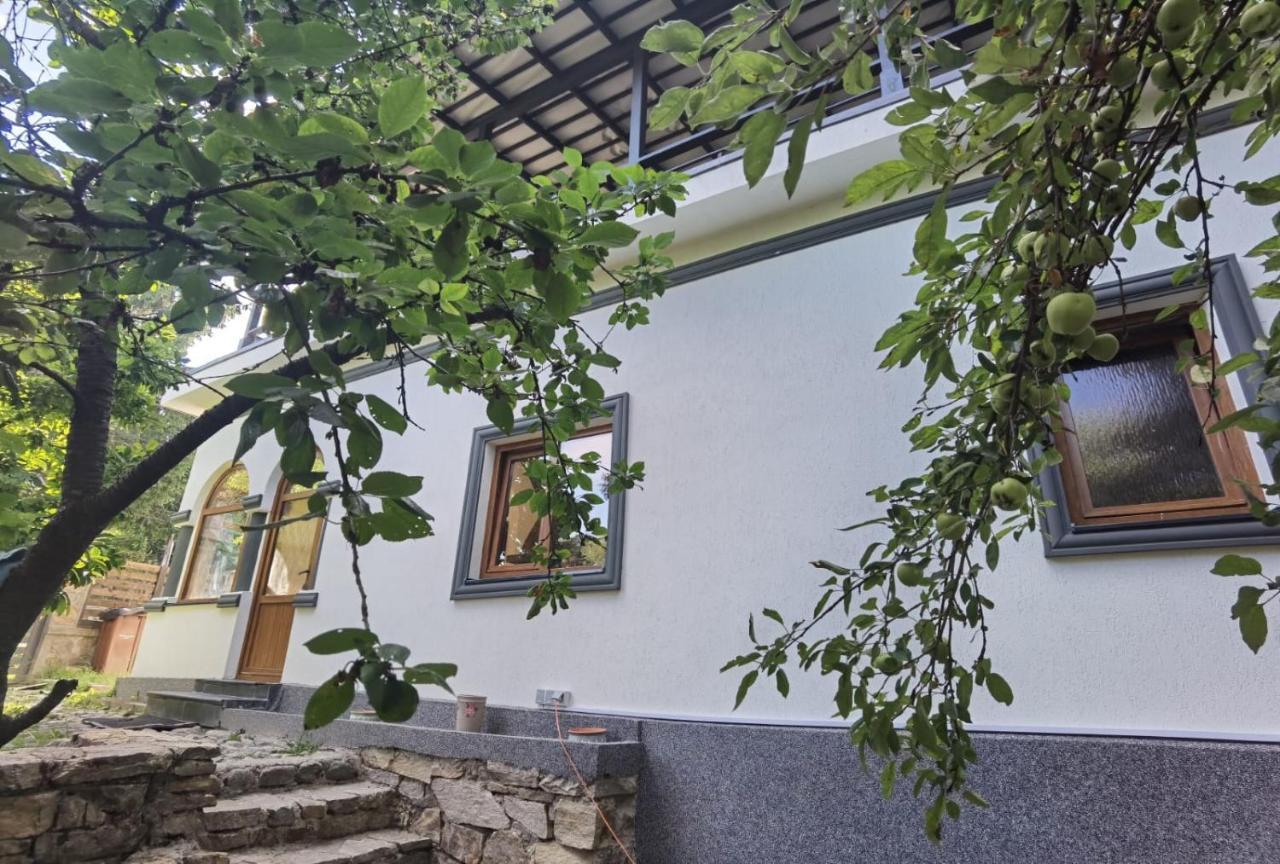 Vila Zia Otel Corbeni Dış mekan fotoğraf