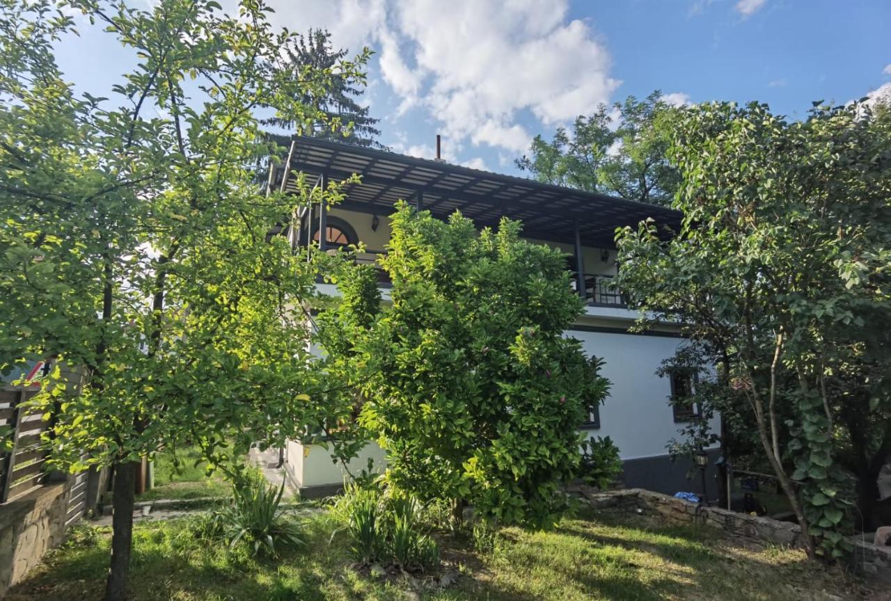 Vila Zia Otel Corbeni Dış mekan fotoğraf