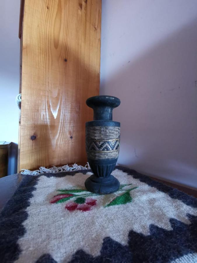 Vila Zia Otel Corbeni Dış mekan fotoğraf