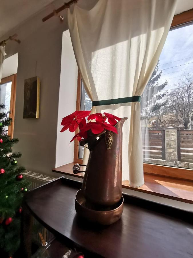 Vila Zia Otel Corbeni Dış mekan fotoğraf