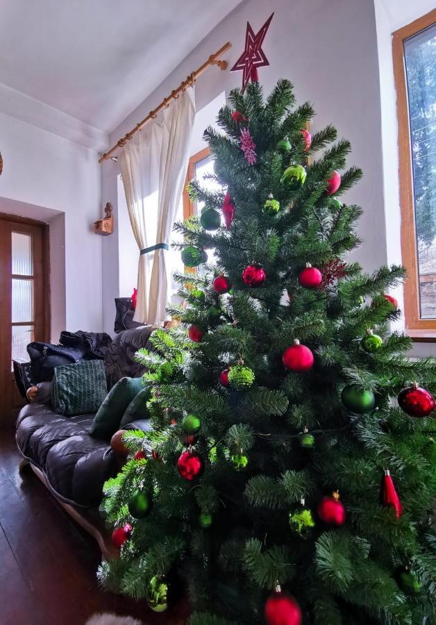 Vila Zia Otel Corbeni Dış mekan fotoğraf