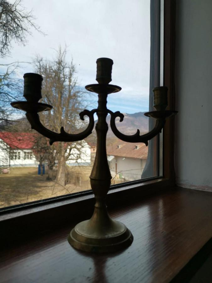 Vila Zia Otel Corbeni Dış mekan fotoğraf